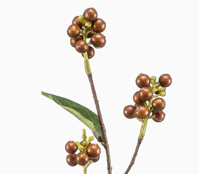 Künstlicher Beerenzweig mit braunen Beeren und einem grünen Blatt.