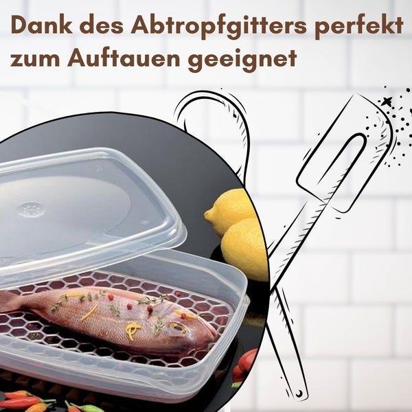 Lebensmittelbehälter mit Abtropfgitter zum Auftauen von Lebensmitteln