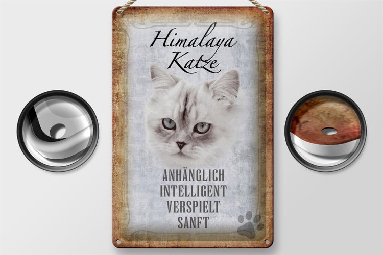 Blechschild Spruch 20x30cm Himalaya Katze sanft Schild