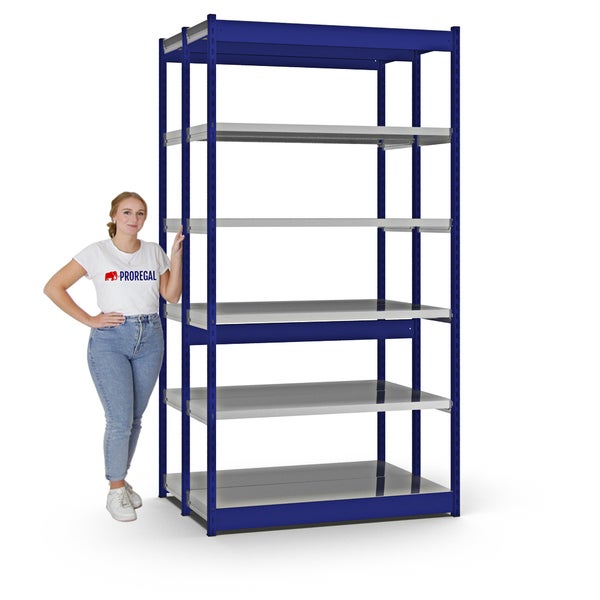 PROREGAL Fachbodenregal Stecksystem Vierkant-Profil Grundregal HxBxT 250 x 132,5 x 40 cm 2x6 Ebenen Doppelseitige Bauart Fachlast 200 kg Enzianblau