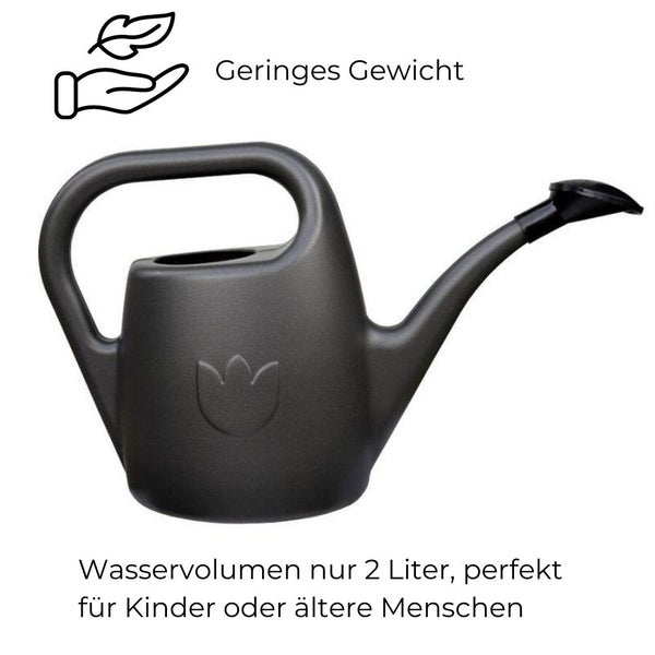 Gießkanne mit Brausekopf 2 Liter klein Kunststoff Garten Wohnung Blumen Pflanzen