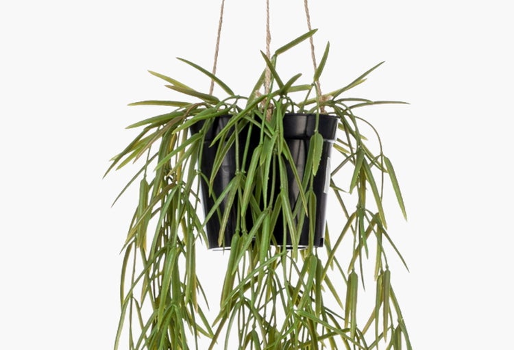 Künstliche Hängepflanze mit langen, schmalen grünen Blättern.