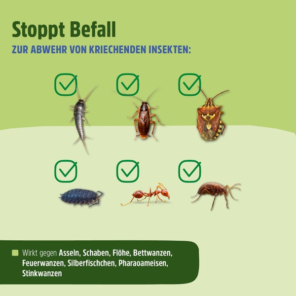 Insektenspray | Stoppt den Befall