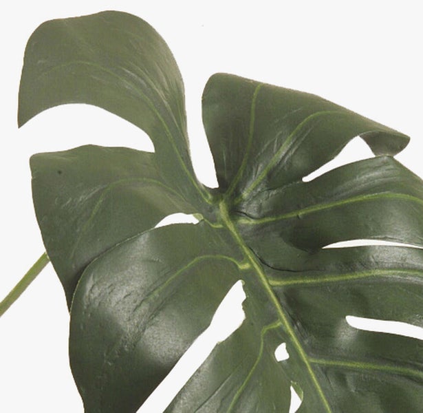 Künstliche Wicke mit weißen Blüten an einem verzweigten Stiel.