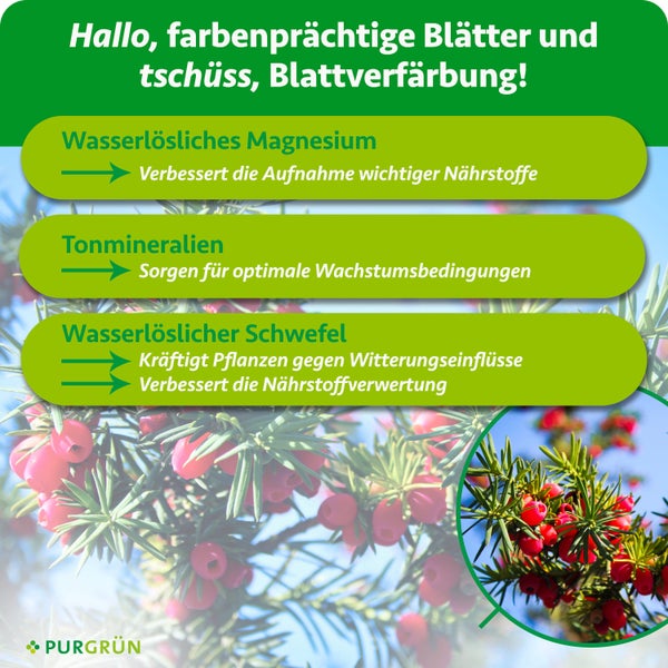 Purgrün Logo. Infografik über Vorteile von Magnesium, Tonmineralien und Schwefel für kräftiges Blattwerk und gesundes Pflanzenwachstum.