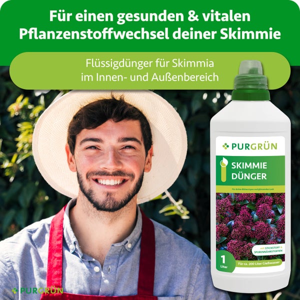 Purgrün Skimmie Dünger 1 Liter Flüssigdünger für Skimmia im Innen- und Außenbereich, lächelnder Gärtner, Purgrün Logo.