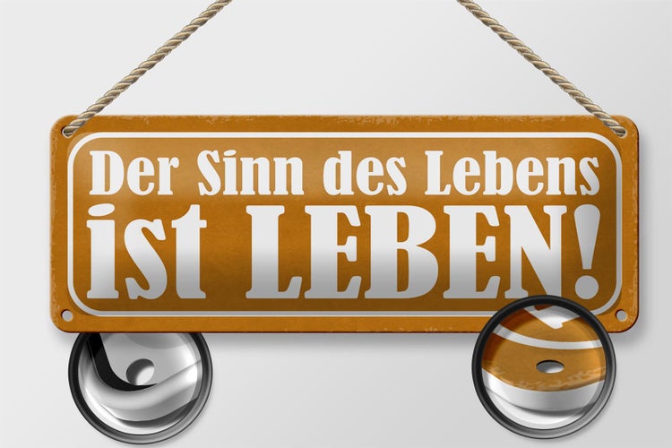 Blechschild Spruch 27x10cm der Sinn des Lebens ist Leben Dekoration