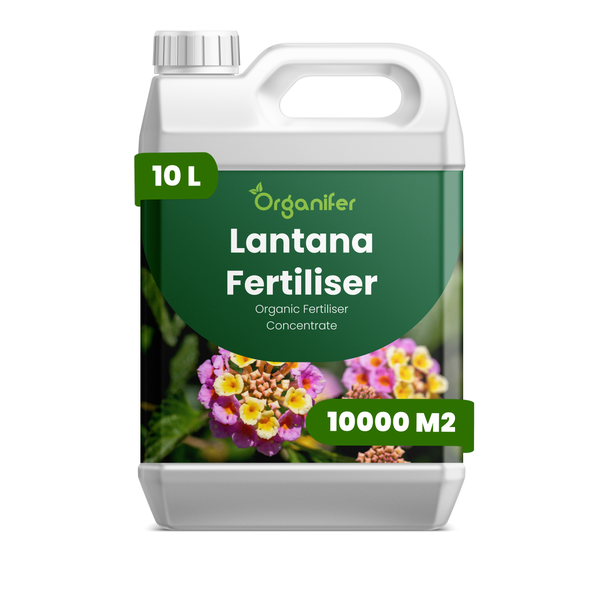 Organifer Lantana Dünger, organisches Düngerkonzentrat, 10 Liter, für 10000 Quadratmeter.