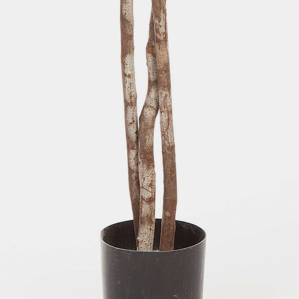 Künstlicher Baumstamm in einem schwarzen Kunststofftopf.