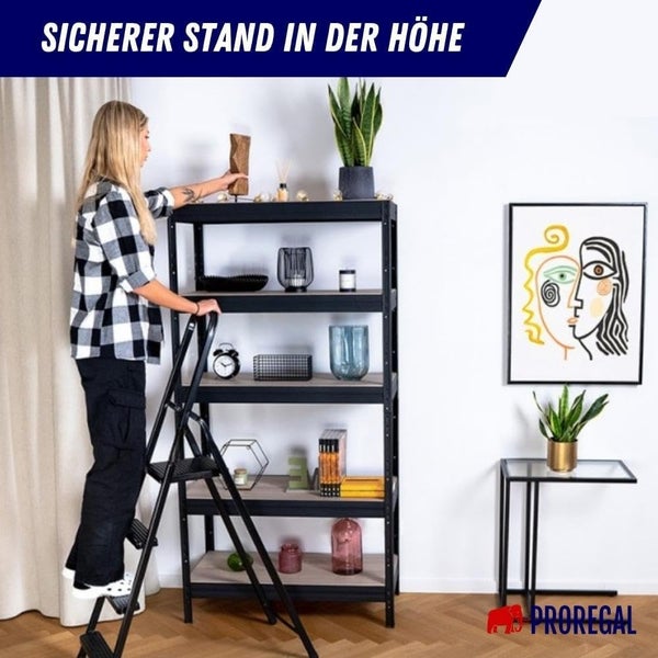 PROREGAL Stufenstehleiter Economy Basic Aus Hochleistungsstahl Einseitig Begehbar 4 Stufen Arbeitshöhe 2,75 m Traglast 125 kg Schwarz