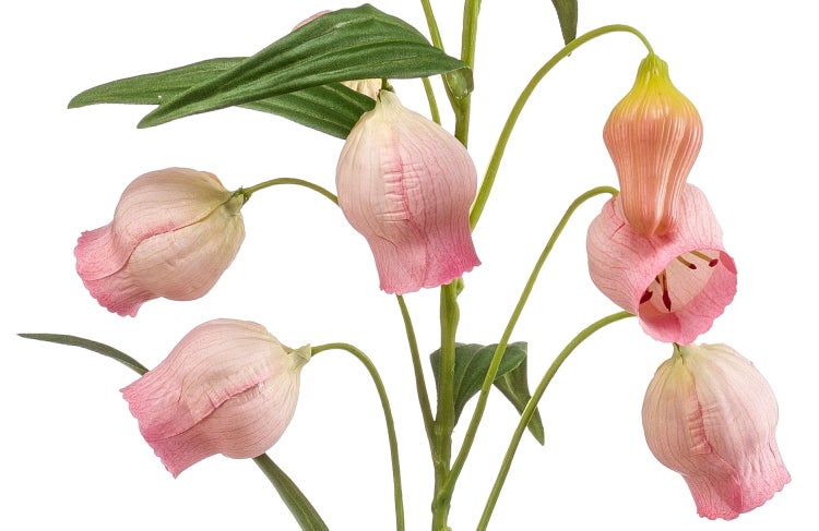 Künstliche Sandersonia Blume in Rosa und Weiß mit glockenförmiger Blüte und grünen Blättern.