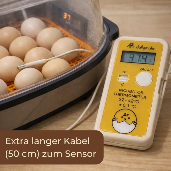 Eierbrutmaschine mit Eiern und Inkubator Thermometer