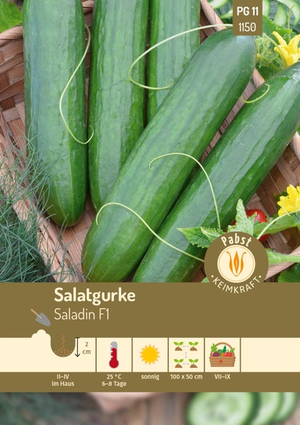 Samentüte für Salatgurke Saladin F1 von Pabst Keimkraft mit Abbildung reifer Gurken sowie Symbolen für Pflanztiefe, Temperatur, Sonnenlicht und Erntezeit.