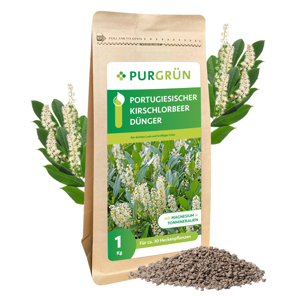 Purgrün Portugiesischer-Kirschlorbeer-Dünger 1 kg
