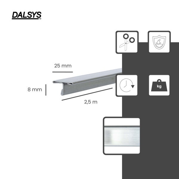 Dalsys T-Profil aus Metall, Maße 25 mm mal 8 mm, Länge 2,5 m, zuschneidbar, wasserbeständig, langlebig und belastbar, Dalsys Logo.