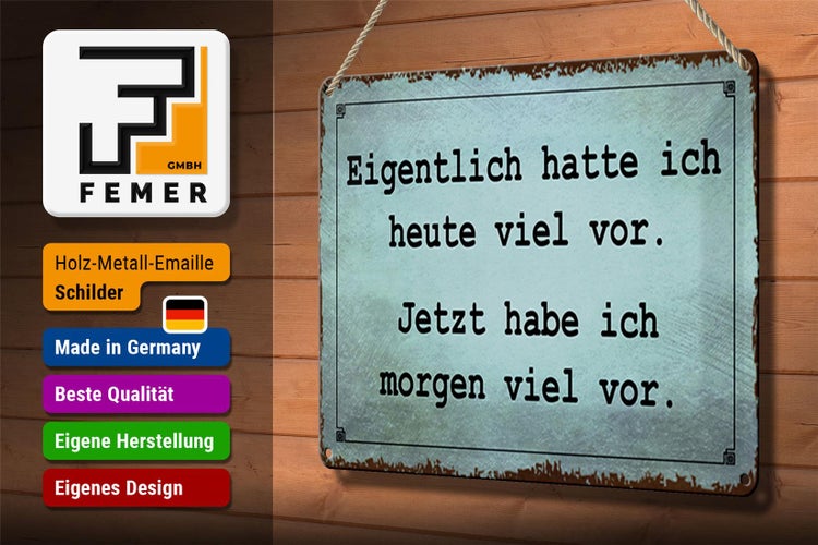 Blechschild Spruch 30x20cm eigentlich hatte ich viel vor