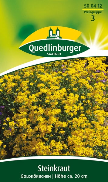 Quedlinburger Logo, Samentüte für Steinkraut Goldkörbchen, Wuchshöhe circa 20 Zentimeter, Abbildung mit gelben Blüten.