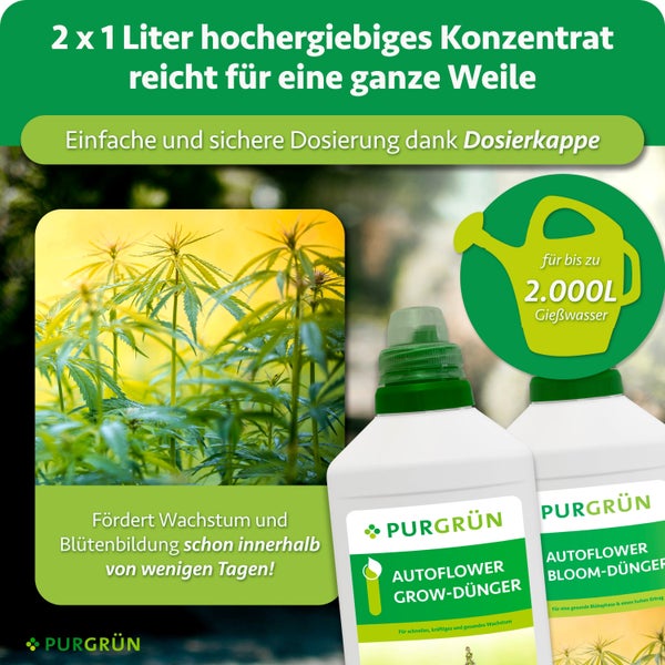Set aus zwei Flaschen Purgrün Autoflower Pflanzendünger Konzentrat zur Förderung von Wachstum und Blüte bei Hanfpflanzen.