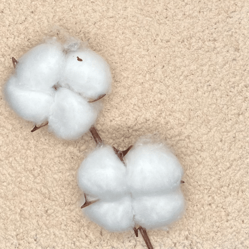 Floxxan Baumwollputz Colorado 106 Baumwolle - Farbe Pfirsich Putz Tapete Flüssigtapete 1Kg