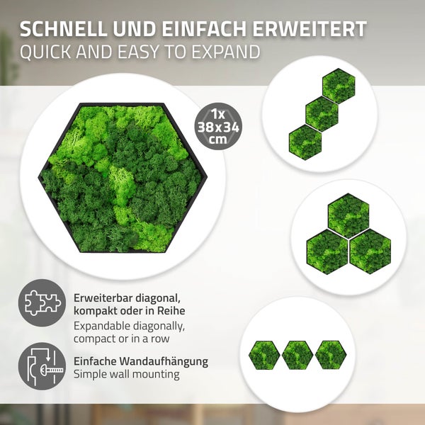 Wandbild aus Moos in sechseckiger Form, Maße 38 mal 34 Zentimeter, modular erweiterbar für verschiedene Wandgestaltungen, einfache Wandmontage.