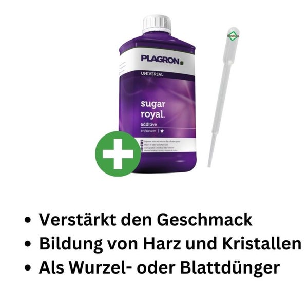 Plagron Sugar Royal 250 ml – Mineralischer Zuckerdünger für Reifung, Blütenstärke & Geschmack bei Tomaten, Orchideen & mehr mit präziser Dosierung