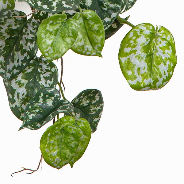 Künstliche Hängepflanze Scindapsus mit herzförmigen, panaschierten Blättern.