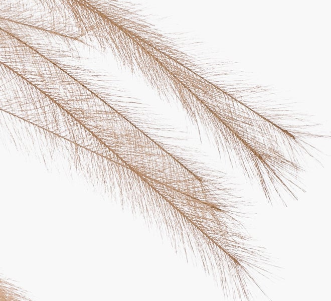Künstliches Pampasgras in der Nahaufnahme mit feinen braunen Halmen.
