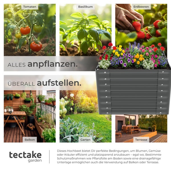 Hochbeet mit Beispielen für bepflanzte Tomaten, Basilikum, Erdbeeren sowie Blumen auf Balkon, Garten und Terrasse