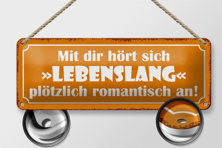 Blechschild Spruch 27x10cm mit dir Lebenslang romantisch Dekoration