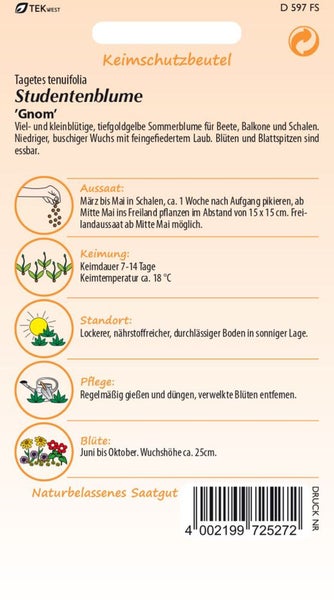Samenpackung Studentenblume 'Gnom' für Beete, Balkone und Schalen