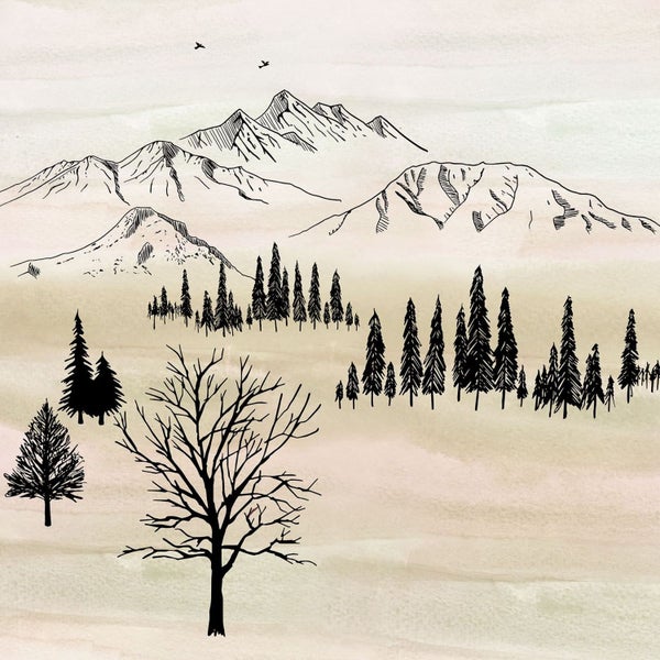 Illustration einer Berglandschaft mit Bäumen