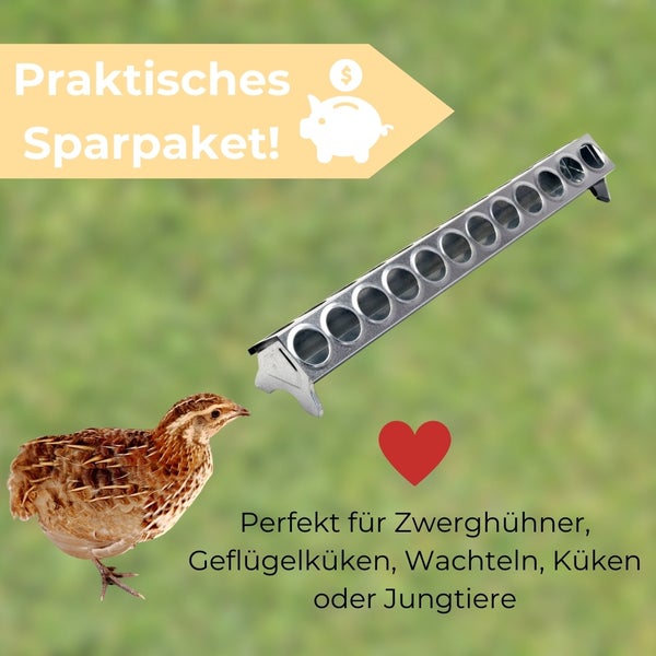 Futterautomat mit Wachtel vor grünem Hintergrund
