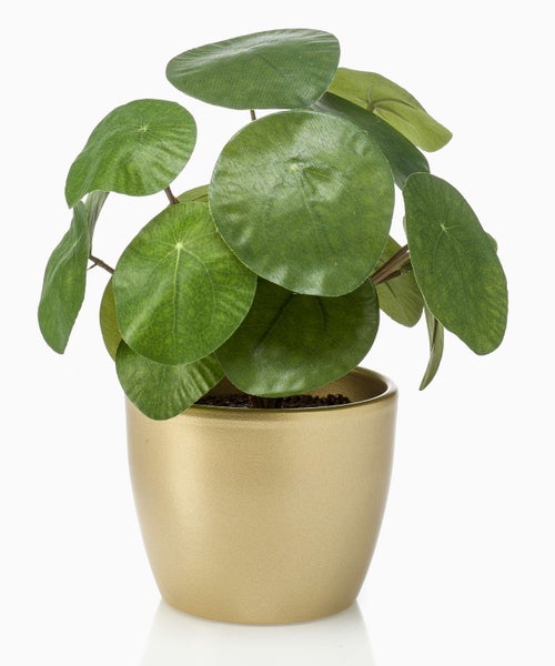 Künstliche Ufopflanze Pilea peperomioides in einem goldfarbenen Übertopf.