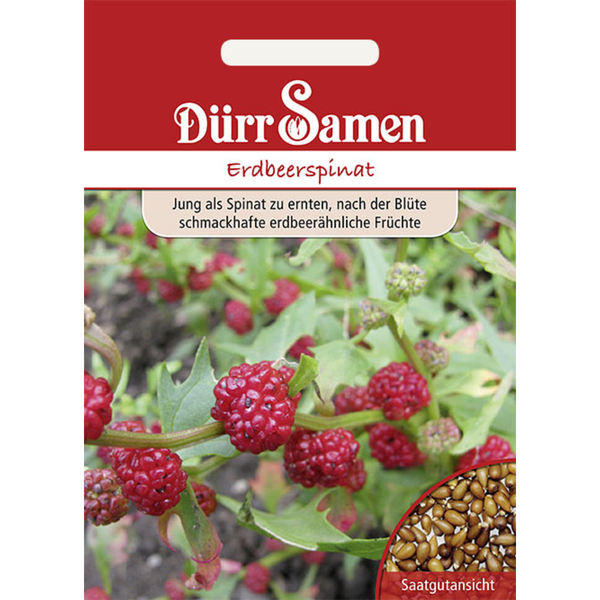 Schienenstrahler zur Deckenmontage