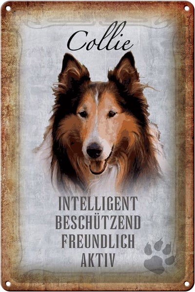 Blechschild Spruch 20x30cm Collie Hund freundlich Schild