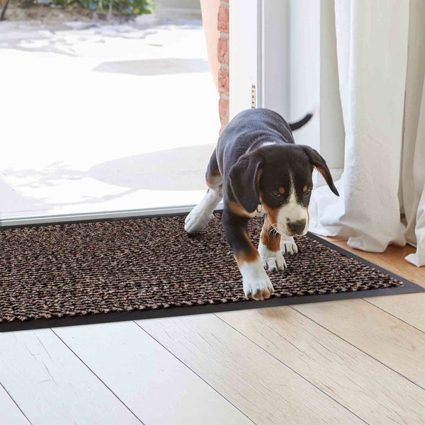 Schmutzfangmatte im Eingangsbereich mit einem Hund darauf