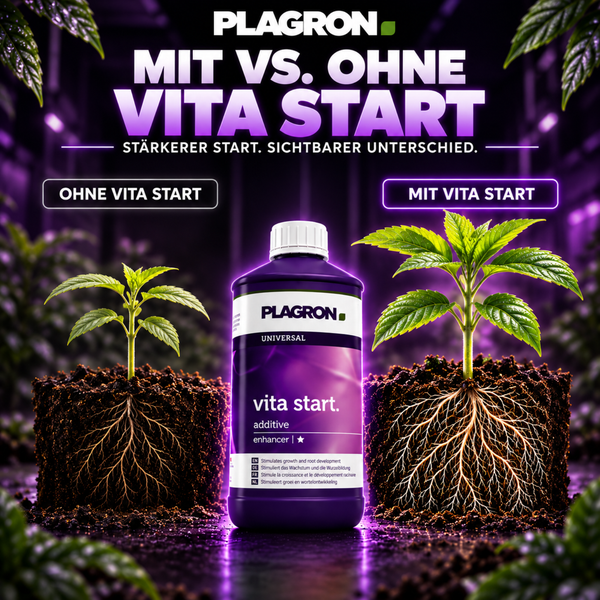 Plagron Vita Start Pflanzendünger Vergleichsbild mit zwei Jungpflanzen und Wirkungsbeschreibung