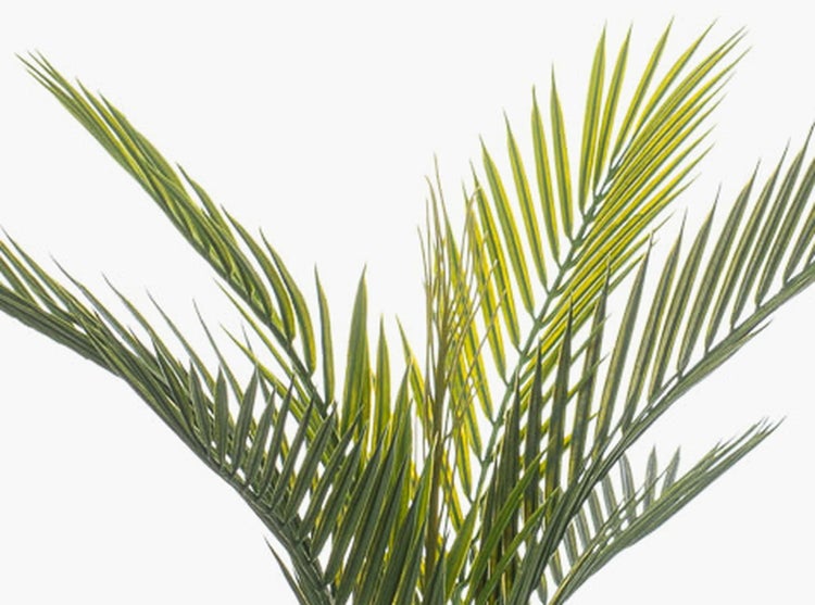 Detailaufnahme von künstlichen Palmwedeln mit grünen und gelben Blättern.