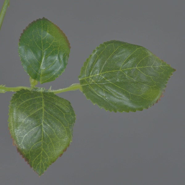 Künstliche weiße Rose mit Stiel, Blättern und Knospen.