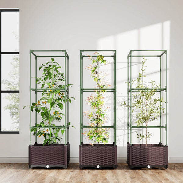 Drei Pflanzkästen in Rattan-Optik mit grüner Rankhilfe für Tomaten und Kletterpflanzen in einem hellen Raum.