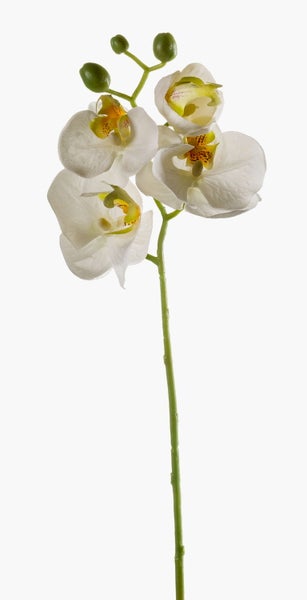 Künstliches Ziergras im schwarzen Topf mit drei braunen Blütenrispen.