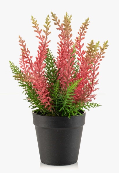 Künstliche Heidekrautpflanze mit rosa Blüten und grünem Laub in einem schwarzen Kunststofftopf.