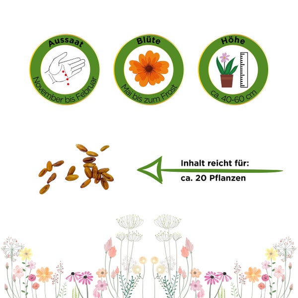 Aussaat November bis Februar, Blüte Mai bis Frost, Wuchshöhe circa 40 bis 60 Zentimeter, Inhalt für circa 20 Pflanzen.