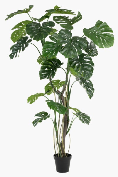 Künstliche Monstera deliciosa Pflanze mit großen grünen Blättern mit charakteristischen Löchern und realistischen Stielen.