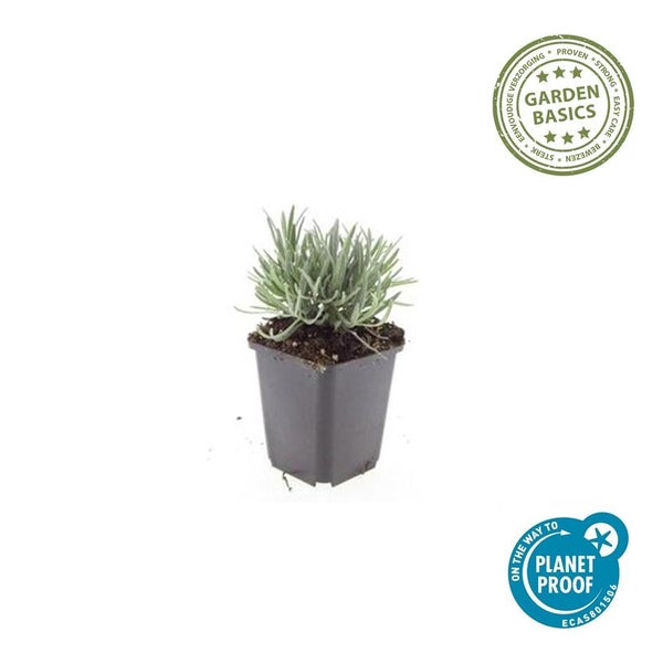Gartentischgruppe mit sechs Stühlen und einem Tisch