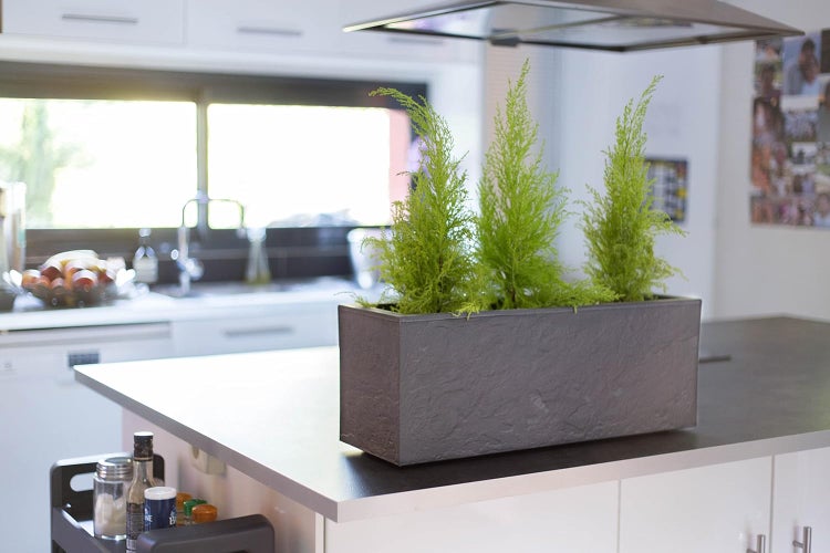 Detailansicht eines Metallschranks mit Regalböden, Wandbefestigung und Regalbodenträger.