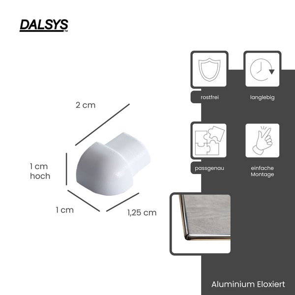 DALSYS Logo. Profil-Endkappe aus eloxiertem Aluminium, 2 mal 1 mal 1,25 Zentimeter. Rostfrei, langlebig, passgenau, einfache Montage.