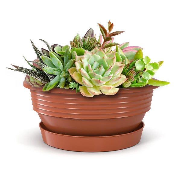 Plastard Pflanzschale Ø 25 x 10 cm mit Untersetzer – wetterfest, frostbeständig, ideal für Garten, Balkon & Küche