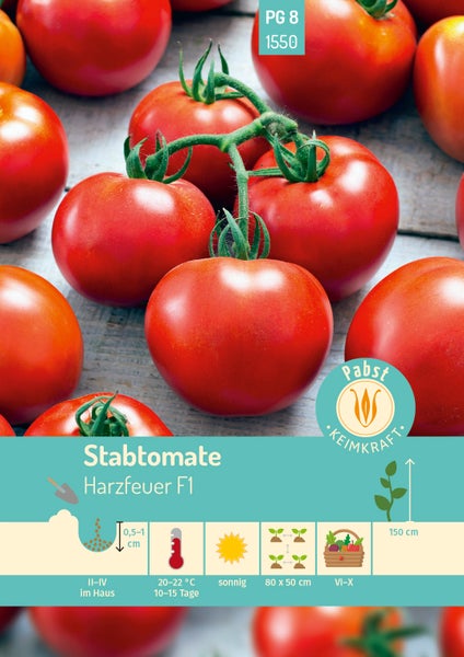 Samentüte Stabtomate Harzfeuer F1. Symbole für Aussaat Februar bis April, sonnig, Ernte Juni bis Oktober. Höhe 150 Zentimeter. Pabst Logo.