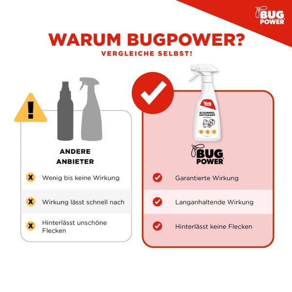 Silberkraft Schimmelentferner mit Aktiv-Chlor 500ml, Stark gegen Schimmel, Stockflecken, Sofort- & Langzeitschutz für Bad, Dusche, Fliesen, Fugen, Keller & Wände, Inkl. 70-seitigem Schimmel-Ratgeber